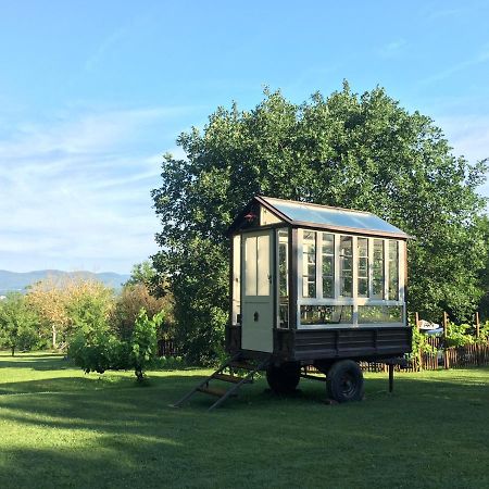 Agriturismo Poggio Salvi سوفيتشيلي المظهر الخارجي الصورة