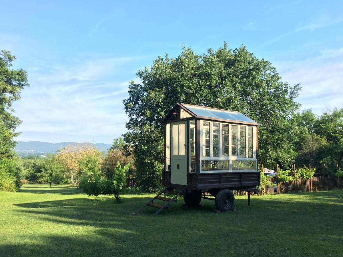 Agriturismo Poggio Salvi سوفيتشيلي المظهر الخارجي الصورة