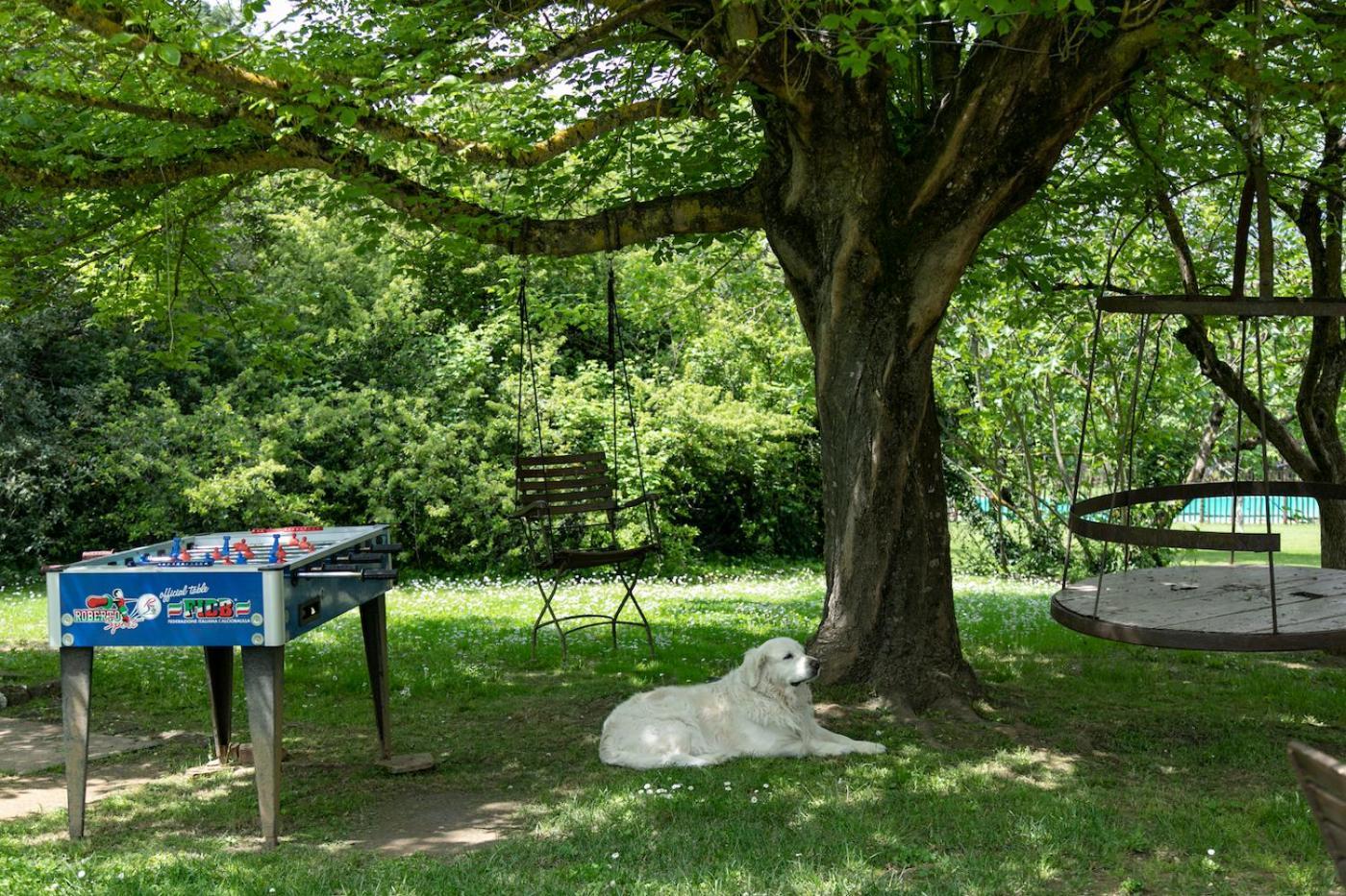 Agriturismo Poggio Salvi سوفيتشيلي المظهر الخارجي الصورة