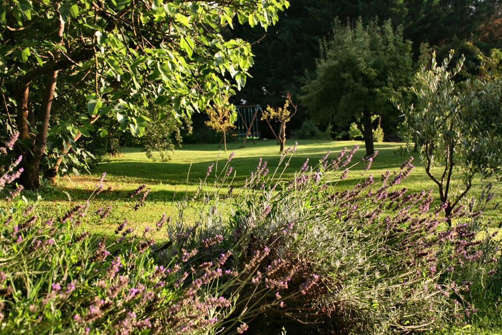 Agriturismo Poggio Salvi سوفيتشيلي المظهر الخارجي الصورة